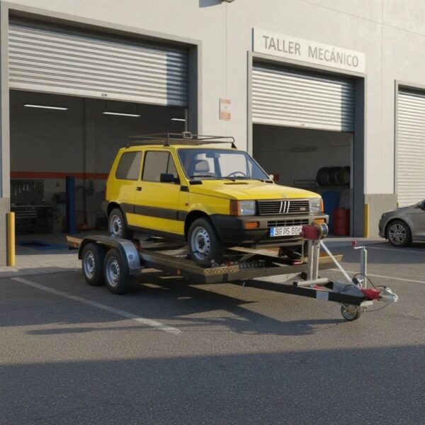 Trans-Car Com Tdm